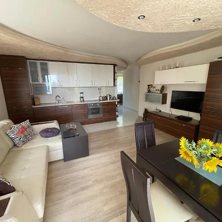 Rich-1 Sp رافدا