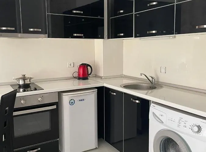 Rich-1 Sp * ラヴダ