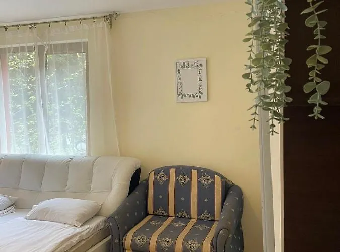 Rich-1 Sp アパート *